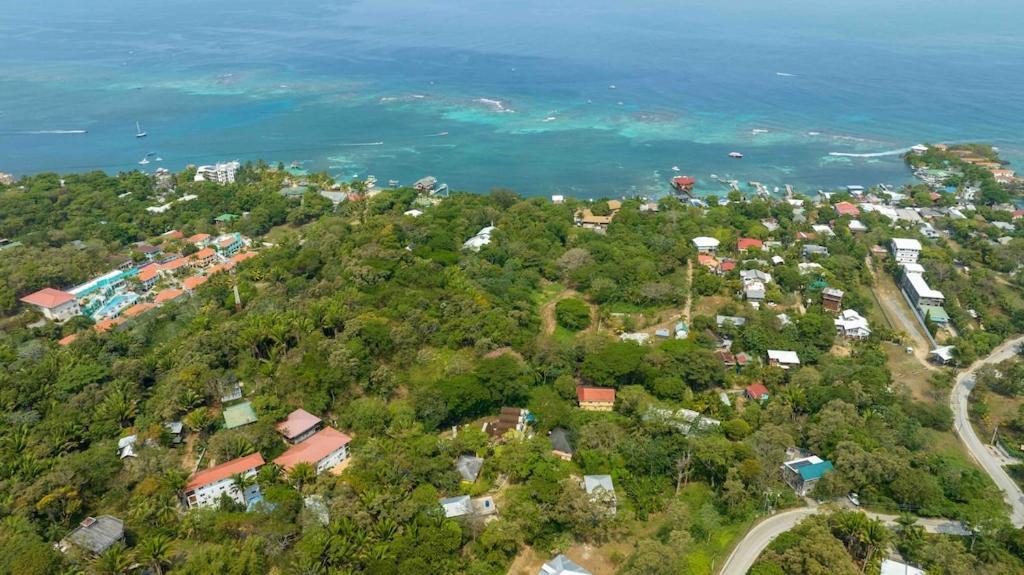 Cozy Beach Villa At The Shores 5 Minutes From The Beach West End Eksteriør bilde